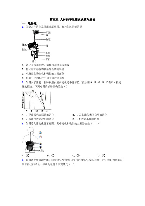 第三章 人体的呼吸测试试题附解析