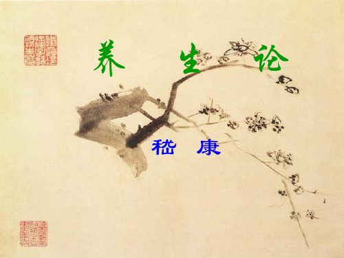 31养生论