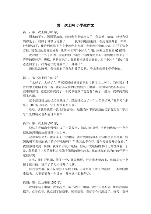 第一次上网_小学生作文