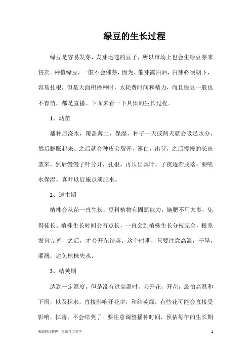 绿豆的生长过程