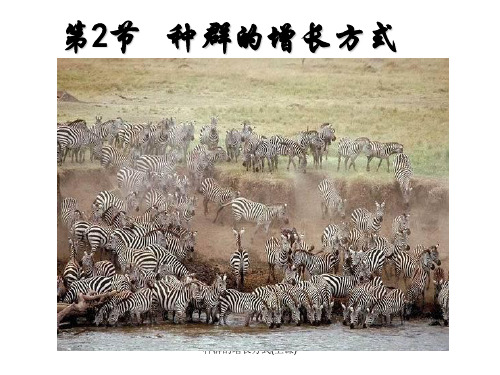 种群的增长方式(上课)课件