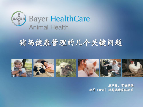 猪场健康管理的几个结论2009