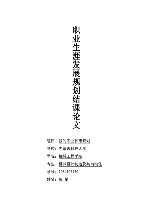 我的职业梦想规划