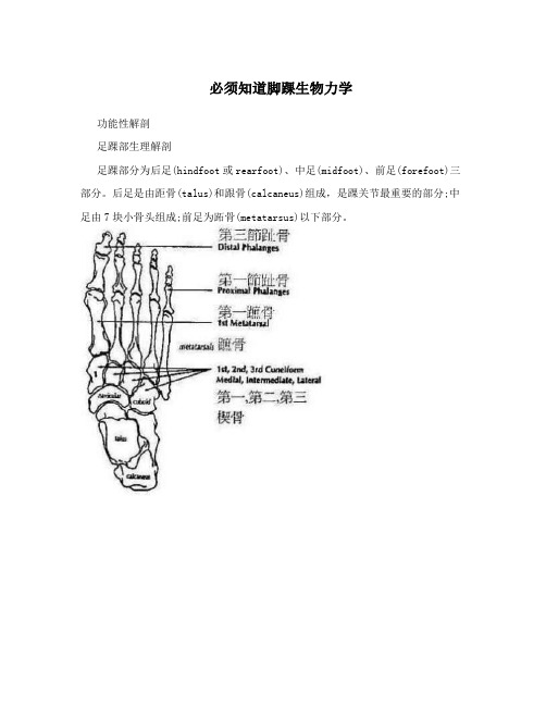 必须知道脚踝生物力学
