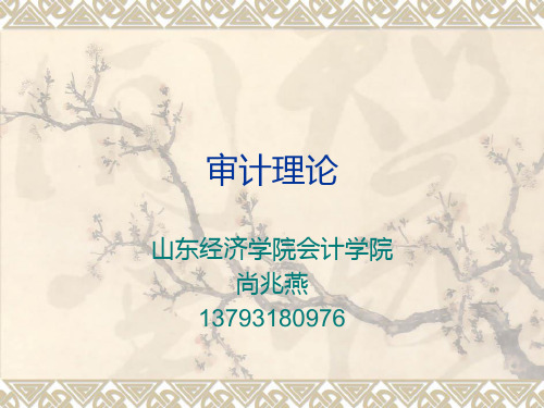 第一讲 审计理论结构