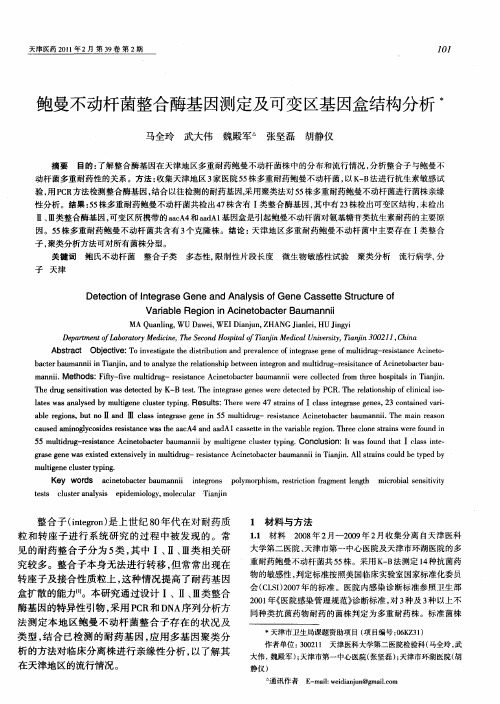 鲍曼不动杆菌整合酶基因测定及可变区基因盒结构分析
