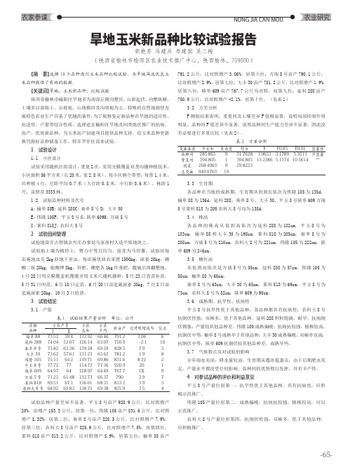 旱地玉米新品种比较试验报告