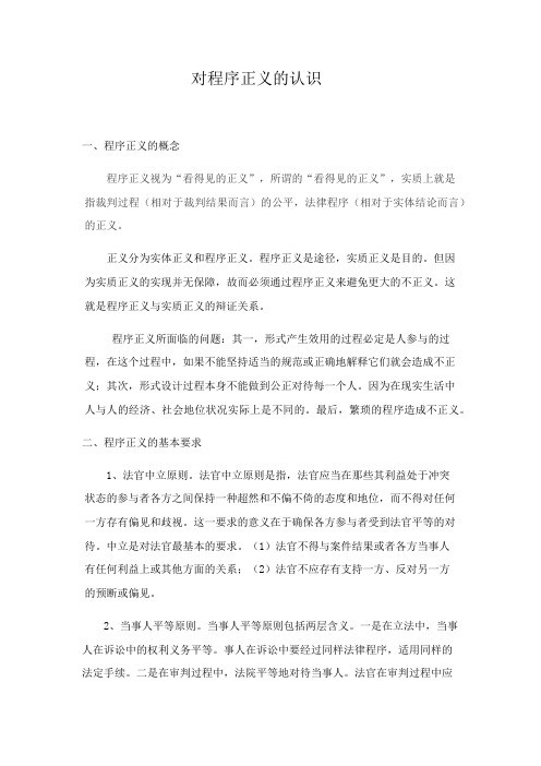 对程序正义的认识