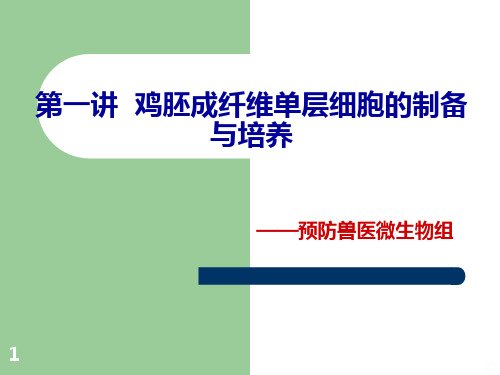 实验一——鸡胚成纤维细胞的培养PPT课件