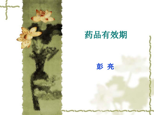 药品有效期PPT课件