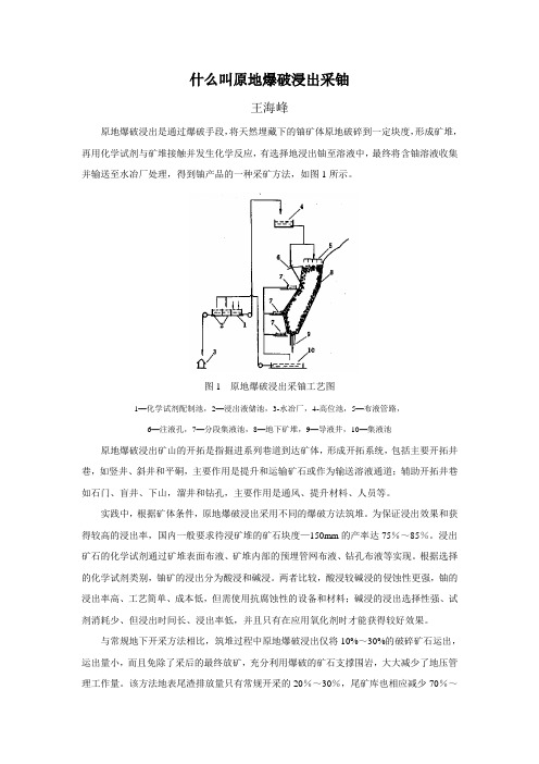 科普4什么叫原地爆破浸出