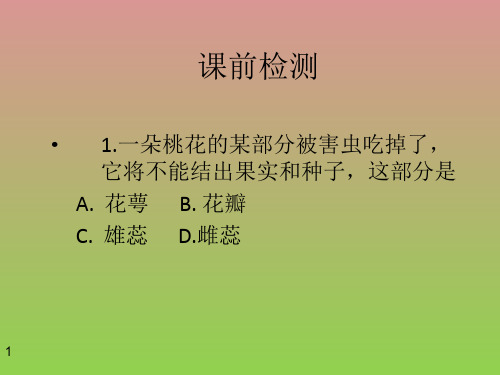 《植物生殖方式的多样性》课件5(31页)(浙教版七年级下)