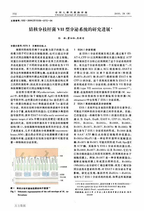 结核分枝杆菌VII型分泌系统的研究进展