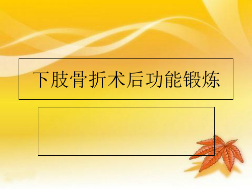 下肢骨折术后功能锻炼PPT