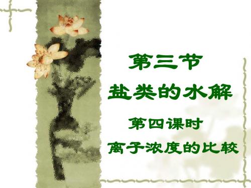 盐类的水解 第四课时 离子浓度的比较
