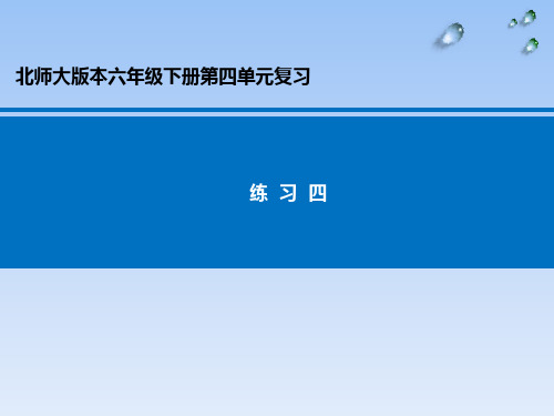 北师大版六年级下册数学课件-练习四(2)