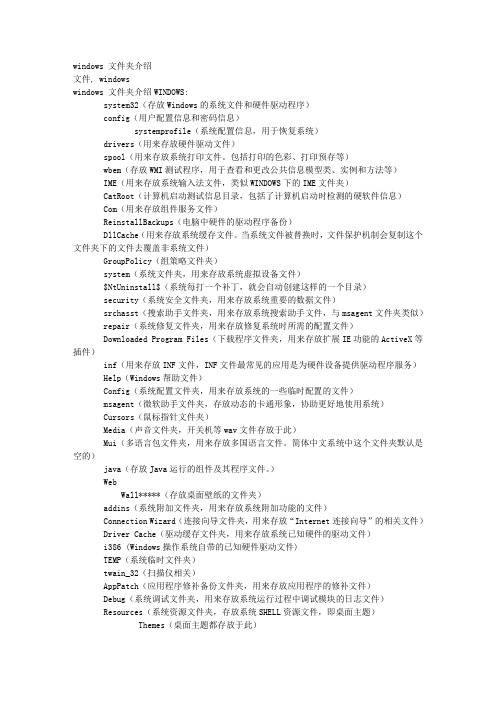 WINDOWS的文件夹 介绍