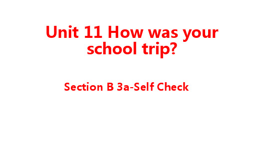 Unit11SectionB3a-selfcheck课件人教版七年级英语下册