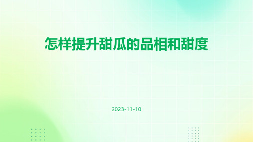怎样提升甜瓜的品相和甜度
