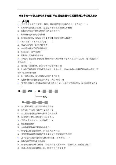 青岛市高一年级上册期末多选题 不定项选择题专项质量检测生物试题及答案