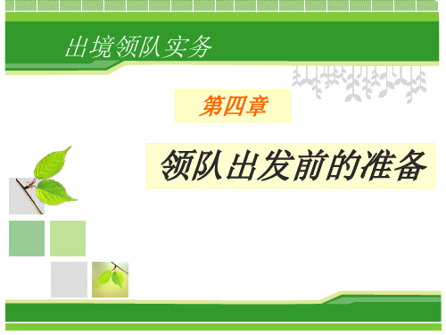 (导游出境领队实务)第四章领队出发前的准备