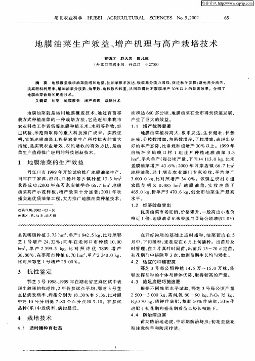地膜油菜生产效益、增产机理与高产栽培技术