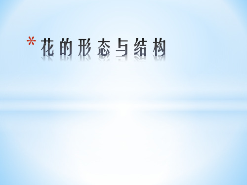 花的形态与结构