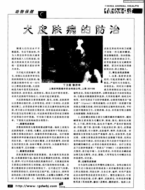 犬皮肤病的防治