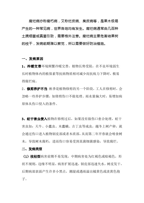 腐烂病的发生及治疗
