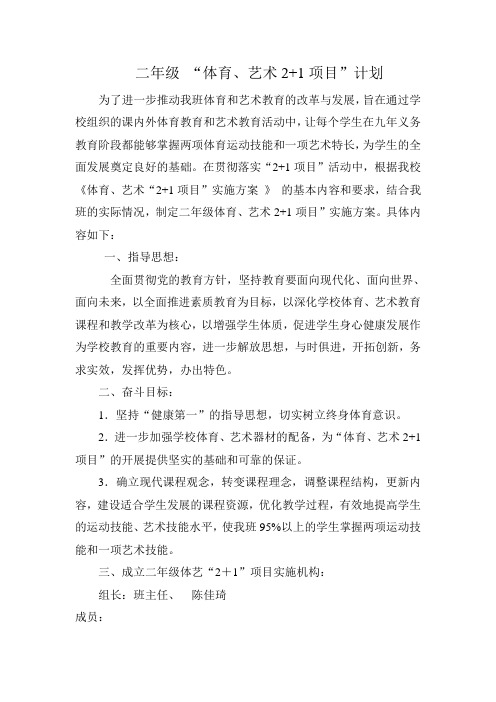 “体育、艺术2+1项目”计划