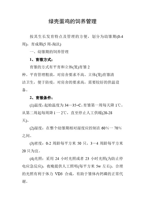 绿壳蛋鸡的饲养管理