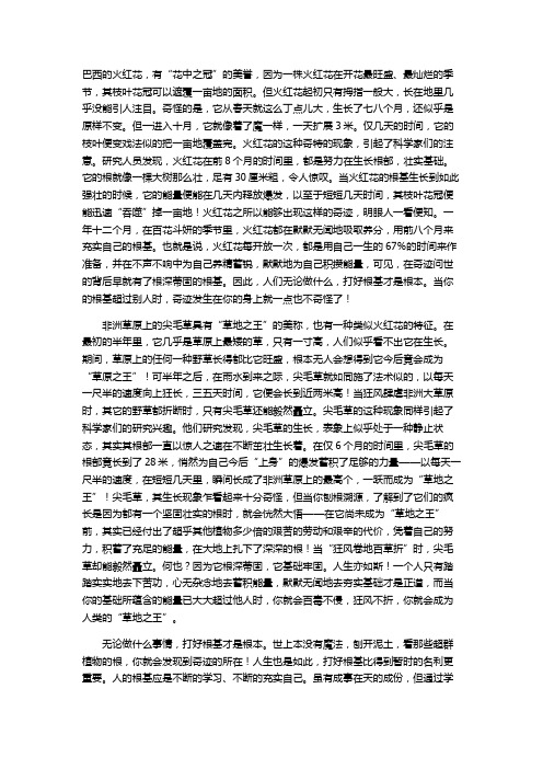 巴西火红花非洲尖毛草的智慧