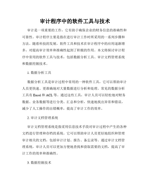 审计程序中的软件工具与技术