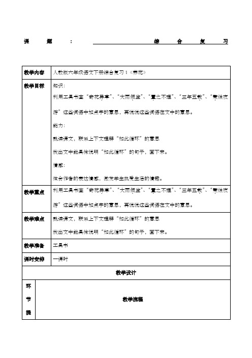 人教版语文六年级下册综合复习教案