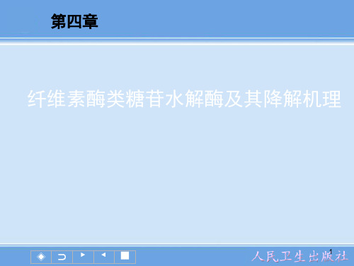 纤维素酶类糖苷水解酶及其降解机理ppt课件