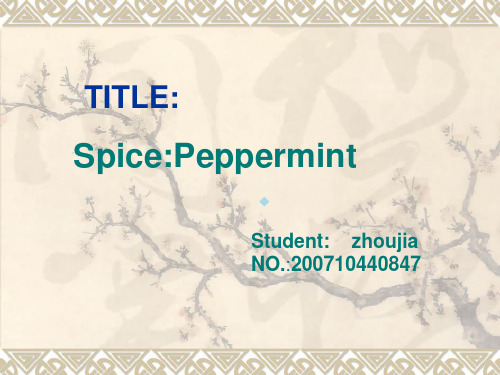 Peppermint