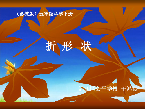 小学科学五年级科学下册精品课件 -2.1 折形状(苏教版)(16张)
