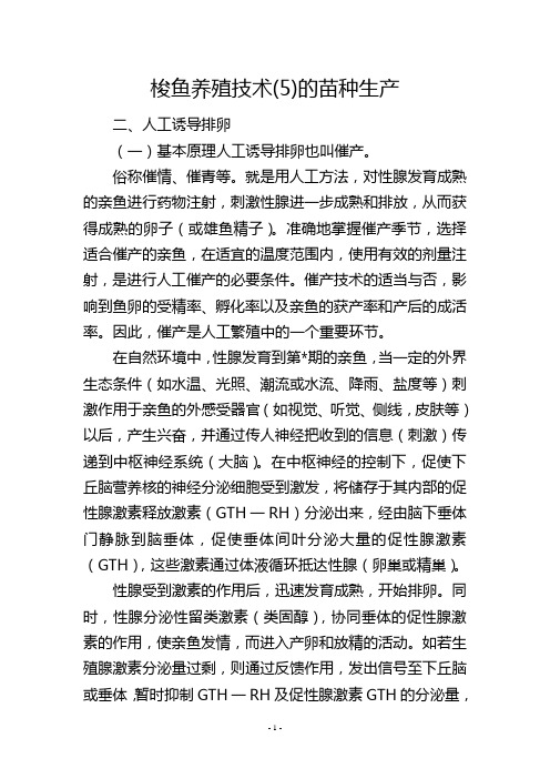 梭鱼养殖技术(5)的苗种生产
