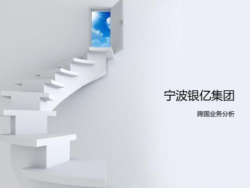 宁波银亿集团