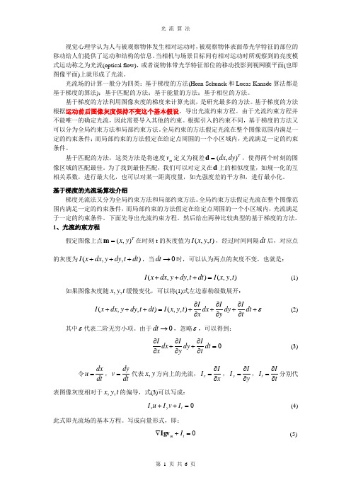光流