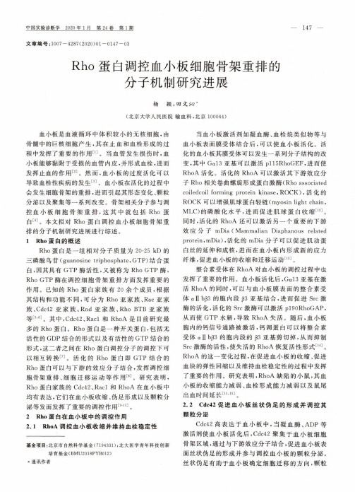 rho蛋白调控血小板细胞骨架重排的分子机制研究进展