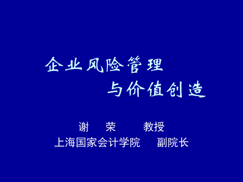 企业风险管理与价值创造--谢荣