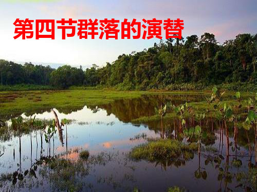 人教版群落的演替ppt课件1