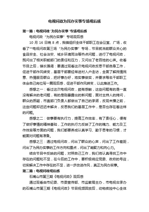 电视问政为民办实事专场观后感