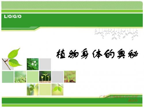 粤教版五年科学植物身体的奥秘1、2方案