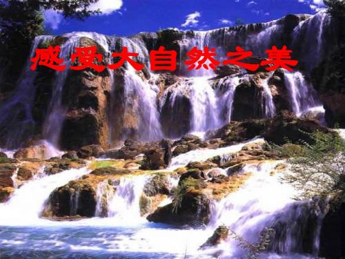 八年级思品感受大自然之美