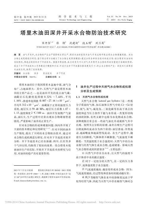 塔里木油田深井开采水合物防治技术研究_宋中华
