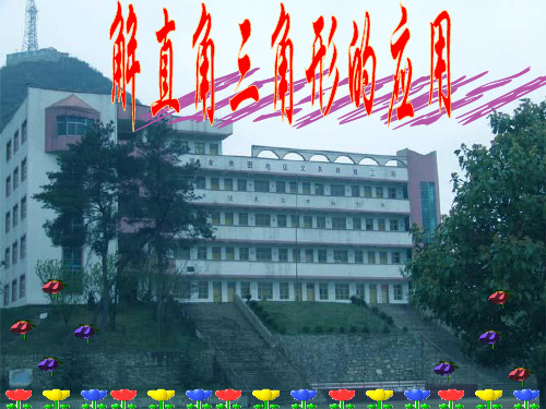 解直角三角形的应用(正确认识一个基本图形)