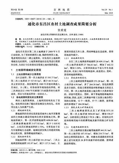 通化市东昌区农村土地调查成果简要分析