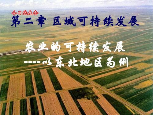 1中国东北农业的可持续发展